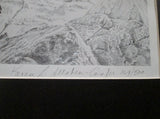 Vintage Hand SIGNED KAREN L. ALLABEN-CONFER PUFFIN BIRD Print Picture Wildlife ART