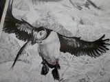 Vintage Hand SIGNED KAREN L. ALLABEN-CONFER PUFFIN BIRD Print Picture Wildlife ART