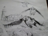 Vintage Hand SIGNED KAREN L. ALLABEN-CONFER PUFFIN BIRD Print Picture Wildlife ART