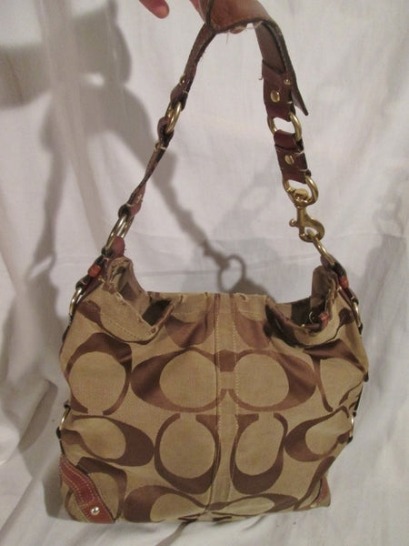 Coach Carly Leather Hobo Bag