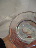 Signed Studio GLASS CHAMBERED NAUTILUS SEASHELL Vase Vessel CLEAR