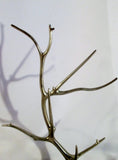 14" ALUMINUM TREE BRANCH Counter Top Display Jewelry Necklace Retail Shop Rack SILVER