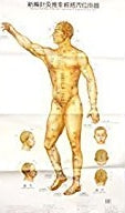 The New Wall Map of Meridians and Points of Acupuncture and Tuina Healing Reference