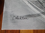 Set 2 CAROLINE ASHTON Ltd Edition TANGLED BRANCHES Canvas ART Print GRAY WHITE 24X19