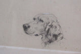 HAND SIGNED PERCIVAL ROUSSEAU DOG SETTER Picture Print ART Antique