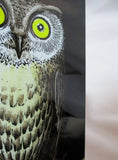 Set NEW FORNASETTI MILANO OWL ITALY Metal BOOKEND Organizer BOOK END HOLDER Bird