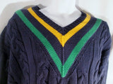 NEW NWT Mens GAP Cotton Knit V neck Ski Holiday SWEATER L Blue Green Yellow Stripe Prep