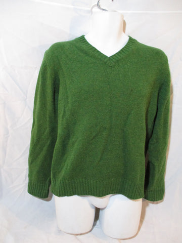 Mens L.L. BEAN Wool Knit Sweater Pullover V-Neck M SAGE GREEN Top