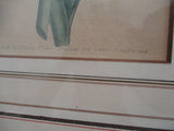 Antique 1802 SYD EDWARDS BOTANICAL FLORAL Framed Print ART No. 590