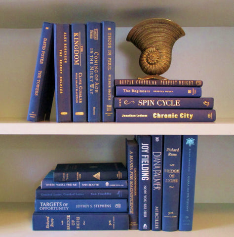 Books By The Foot Box Instant Library Home Interior Design NAVY BLUE Mix Color Therapy