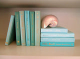 Books By The Foot Box Instant Library Home Interior Design SEA GLASS GREEN BLUE Color Therapy